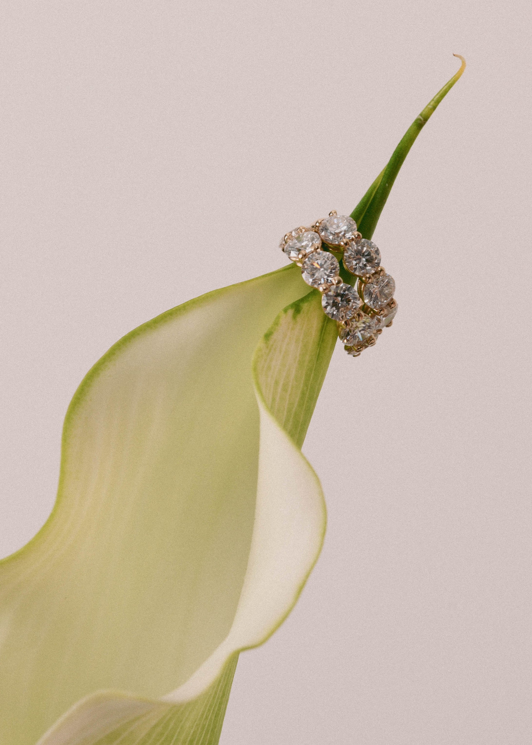 Diamonds Big Pavé Earring