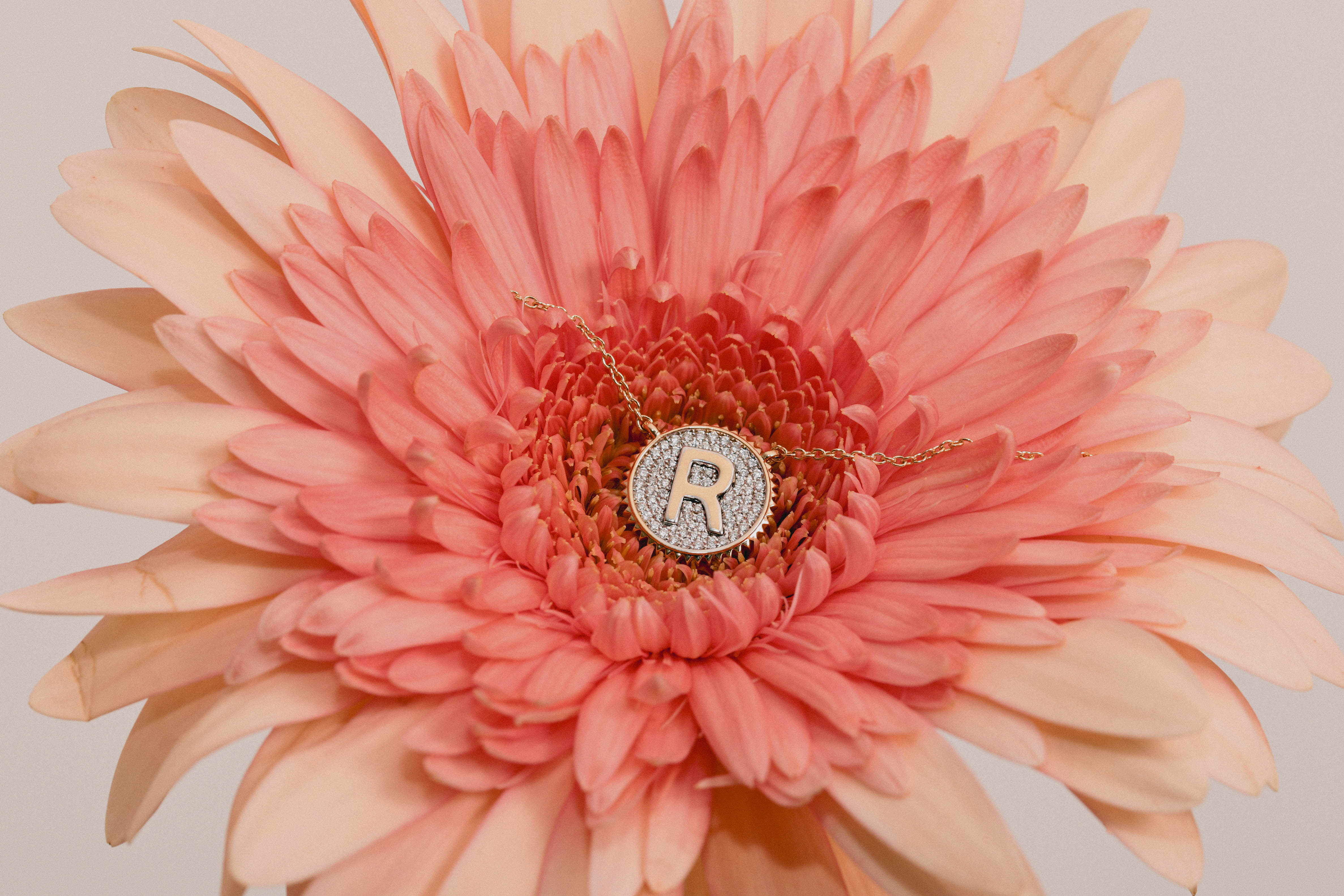 Diamond Initial Medallion Necklace